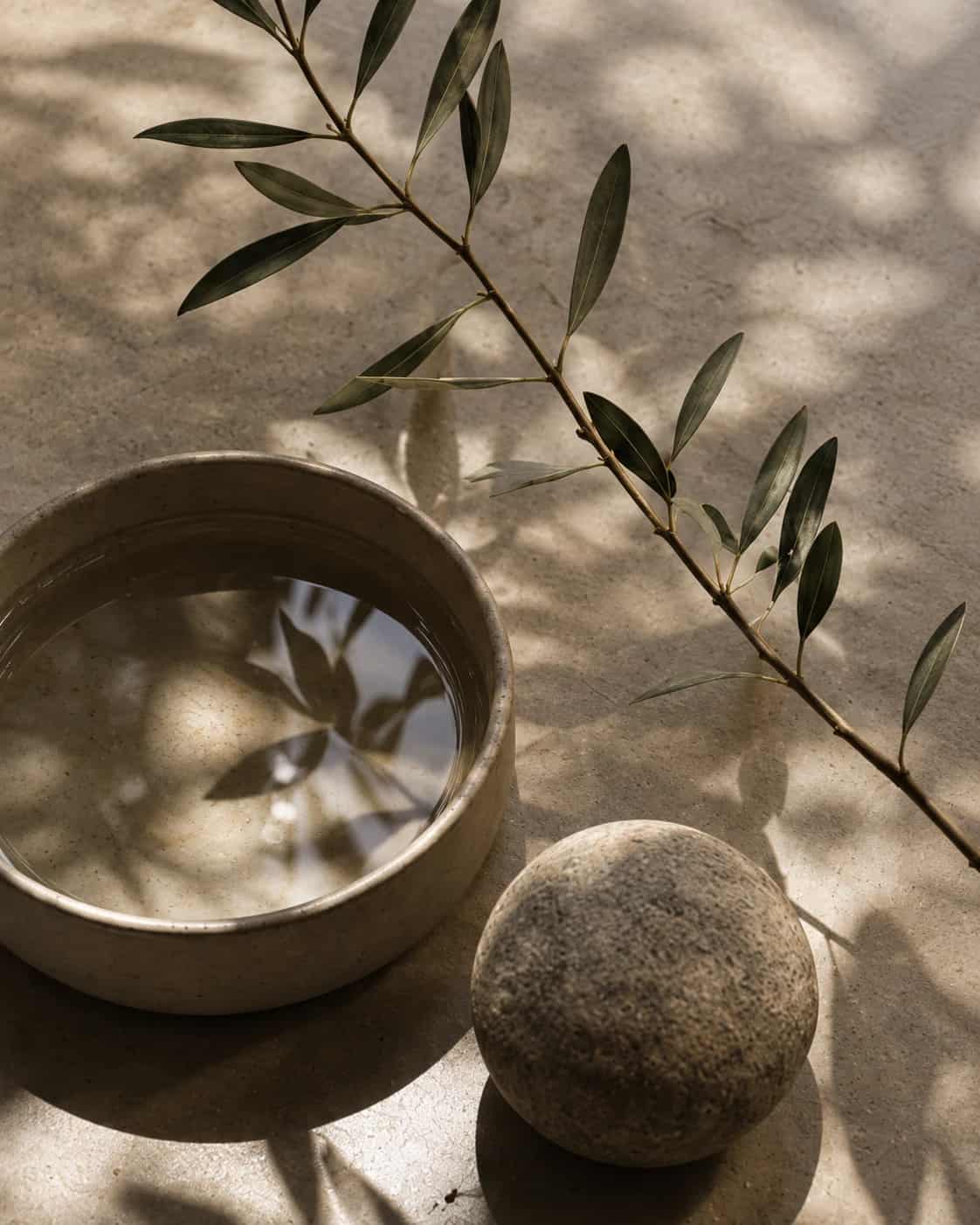 A shallow ceramic bowl of water reflecting olive leaves beside a smooth round stone, dappled leaf shadows falling across pale stone.