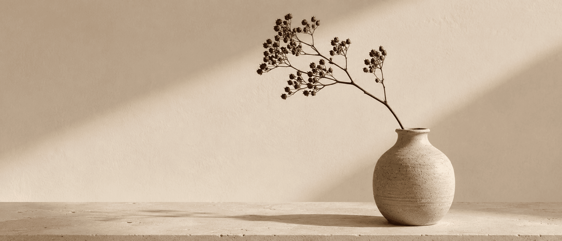 A single dried botanical stem in a plain ceramic vessel, photographed against the site's cream background.